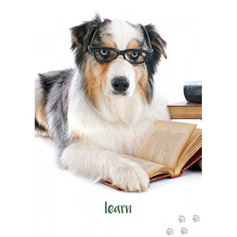 Inspirational cards Dog Wisdom Blue Angel