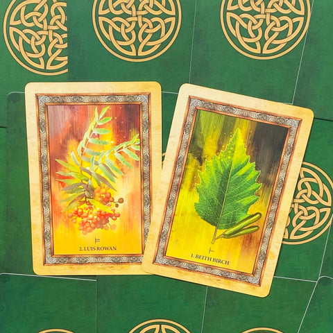 Celtic Tree Oracle cards Blue Angel