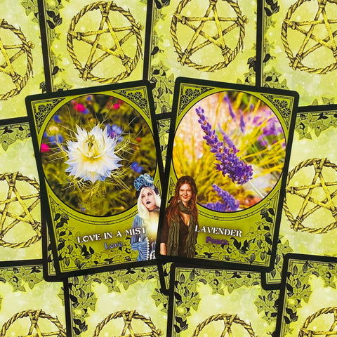 Flower Magic Oracle Cards Solarus