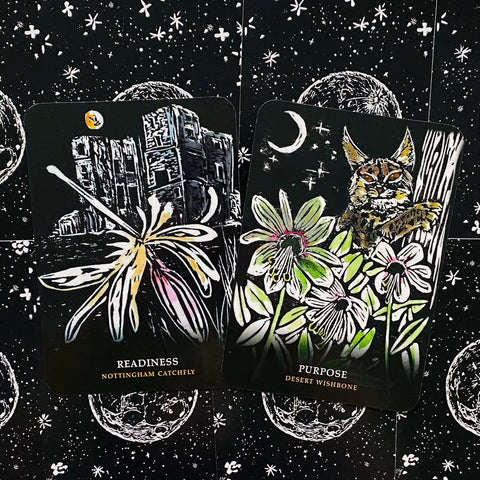 Flowers Of The Night Oracle cards Rockpool