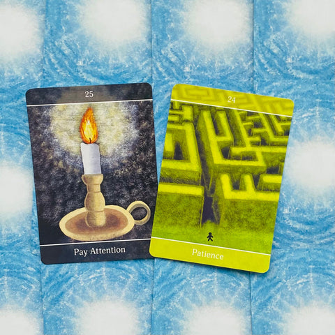Beyond The Illusions Oracle cards Animal Dreaming