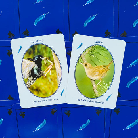 Feathered Omens Spiritual Cards Dragonhawk Publishing