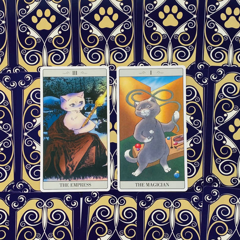 The Way Jodorowsky Explained Tarot To His Cat Cards Lo Scarabeo
