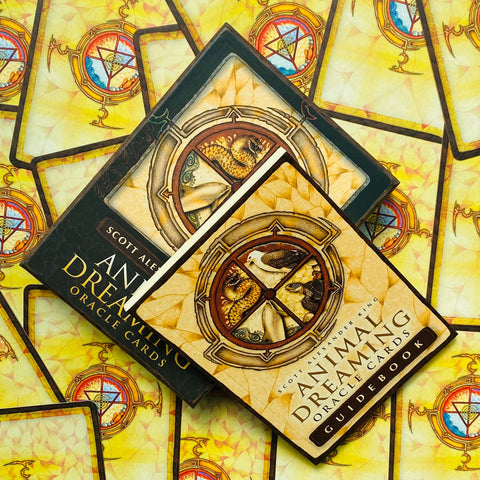 Animal Dreaming Oracle cards Blue Angel