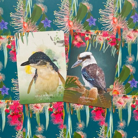 Wild Wisdom Australia Oracle oracle Blue Angel