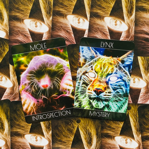 Spirit Animal Oracle Cards Beyond Words