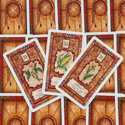 Shaman Wisdom Cards US Games Systems