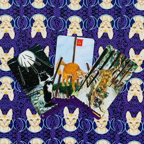 Tarot Of Pagan Cats cards Lo Scarabeo