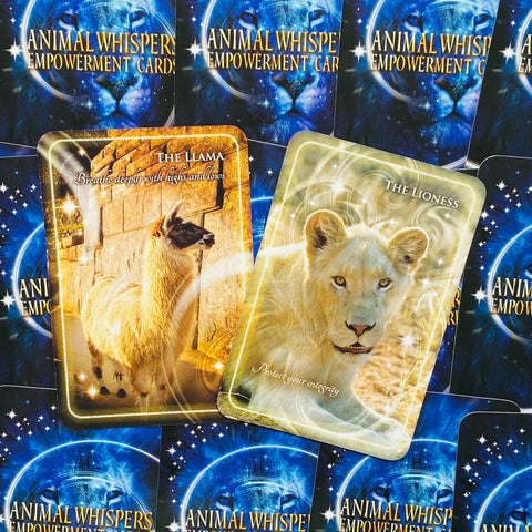 Animal Whispers Empowerment Cards Findhorn Press