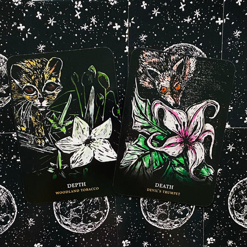 Flowers Of The Night Oracle cards Rockpool