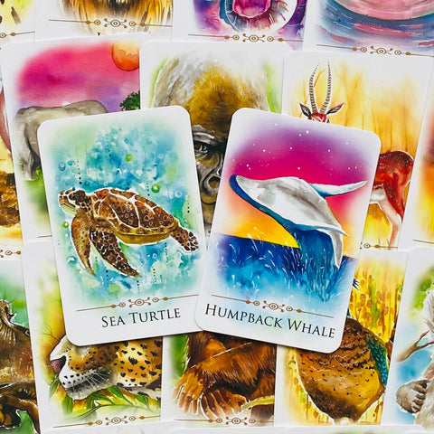 Spirit Animals Message Cards Animal Dreaming