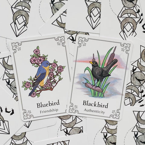 Sacred Bird Oracle Cards Animal Dreaming