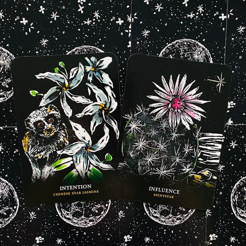 Flowers Of The Night Oracle cards Rockpool