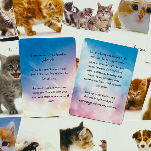 Cat Wisdom cards Blue Angel