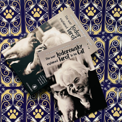 The Way Jodorowsky Explained Tarot To His Cat Cards Lo Scarabeo