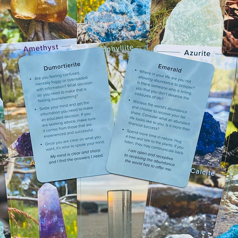 Crystal Connections Message Cards Animal Dreaming