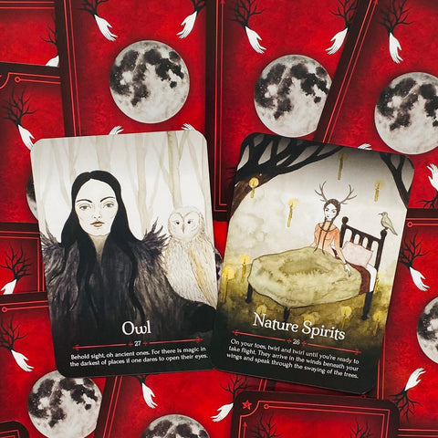 Seasons Of The Witch Samhain Oracle Cards Rockpool