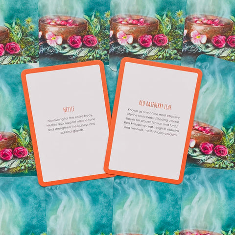 Womb Medicine Healing Cards Animal Dreaming