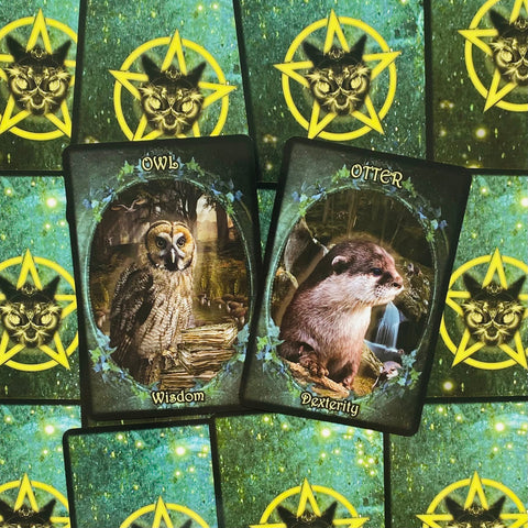 Witches Familiars Oracle Cards Solarus