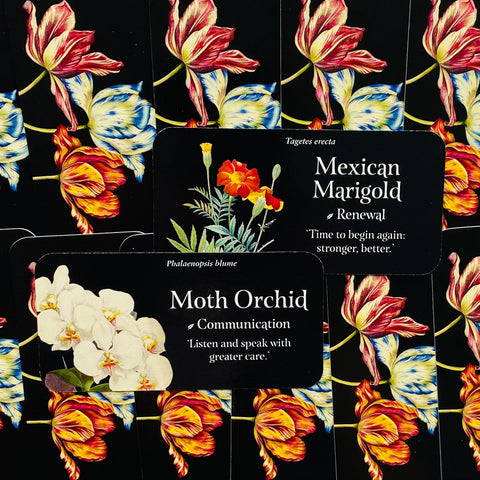 The Language of Flowers Inspiration cards Rockpool