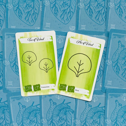 The Body Tarot Cards Cico Books