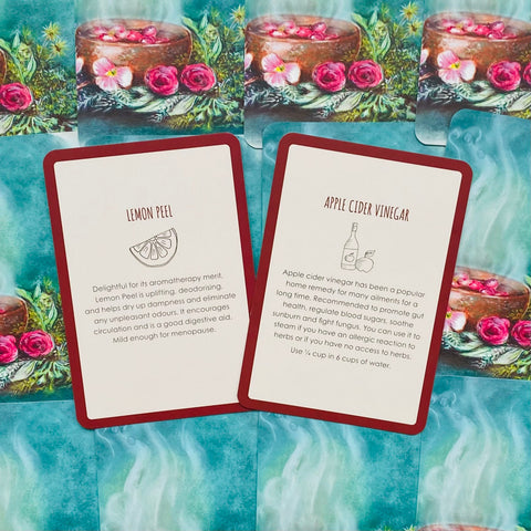 Womb Medicine Healing Cards Animal Dreaming