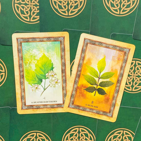 Celtic Tree Oracle cards Blue Angel