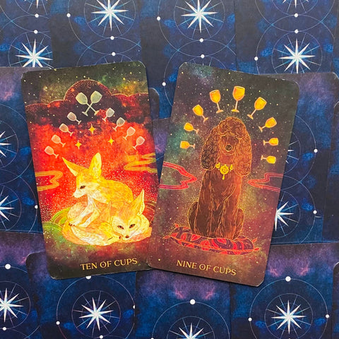 Oriens Animal tarot cards Rockpool