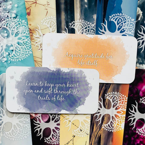 Daily Healing spiritual Cards Rockpool