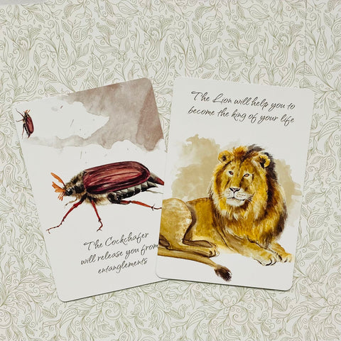 Power Animals Cards AGM