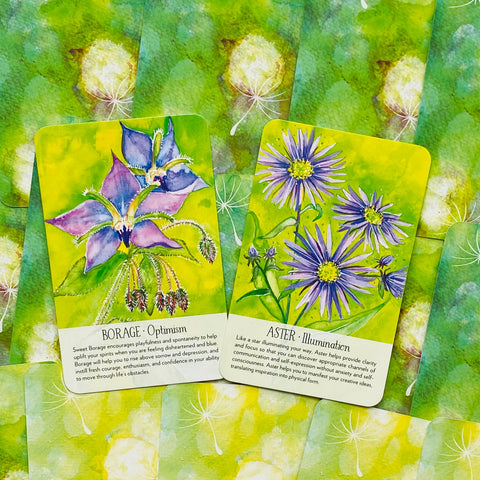 Soulflower Plant Spirit Oracle cards Findhorn Press