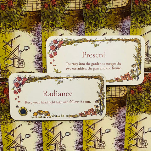 Secret Garden Cards Rockpool