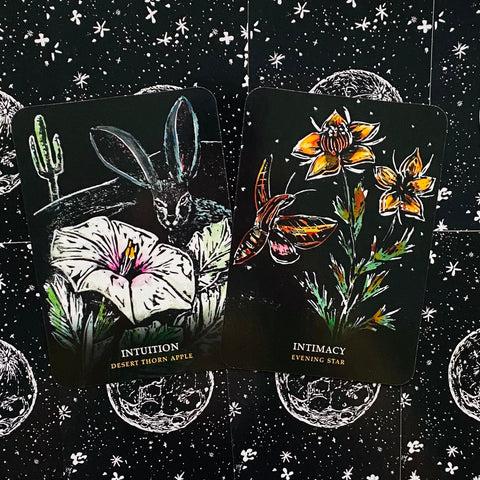 Flowers Of The Night Oracle cards Rockpool