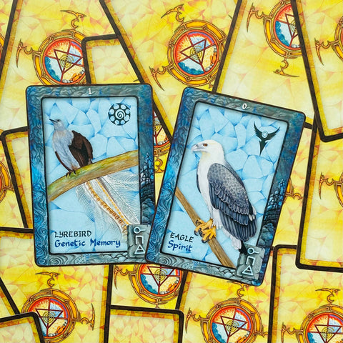 Animal Dreaming Oracle cards Blue Angel