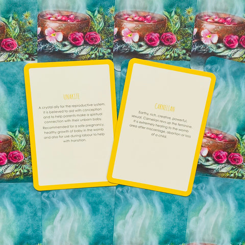Womb Medicine Healing Cards Animal Dreaming