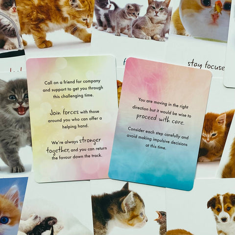 Cat Wisdom cards Blue Angel