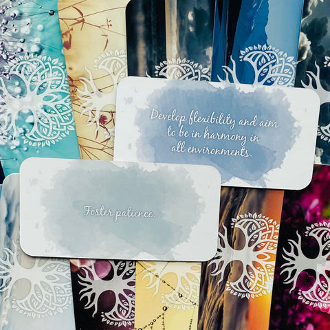Daily Healing spiritual Cards Rockpool