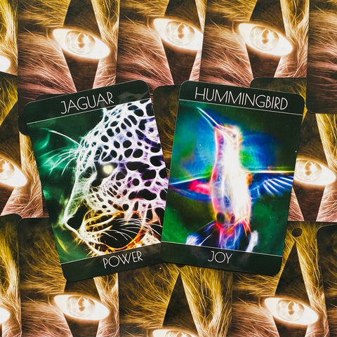 Spirit Animal Oracle Cards Beyond Words