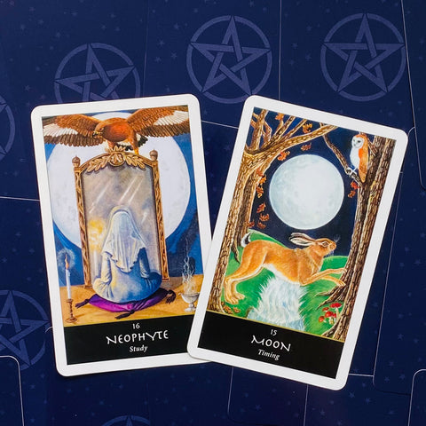 The Witches Oracle Cards Welbeck Publishing