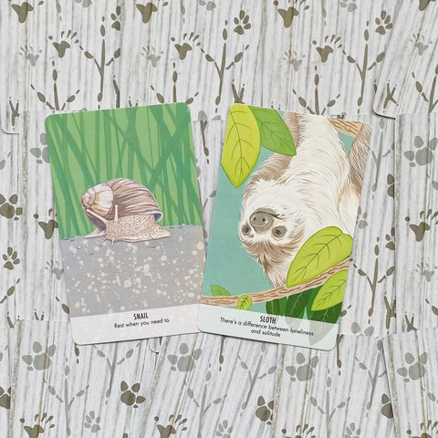Unusual Animal Messages Oracle Cards Cico Books