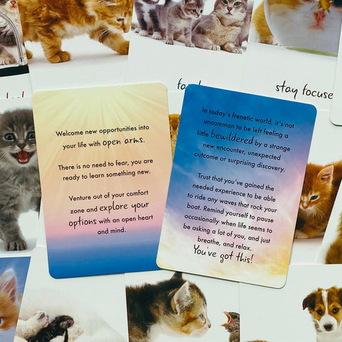 Cat Wisdom cards Blue Angel