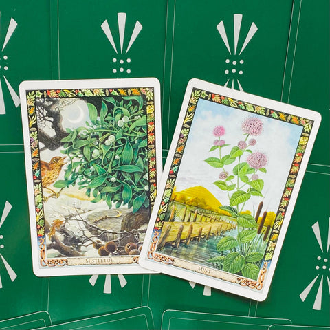 The Druid Plant Oracle Cards Welbeck Publishing