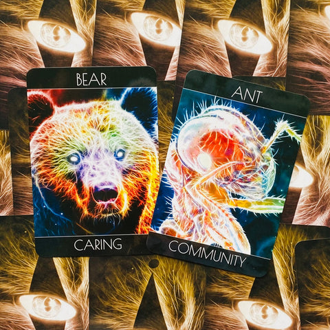 Spirit Animal Oracle Cards Beyond Words