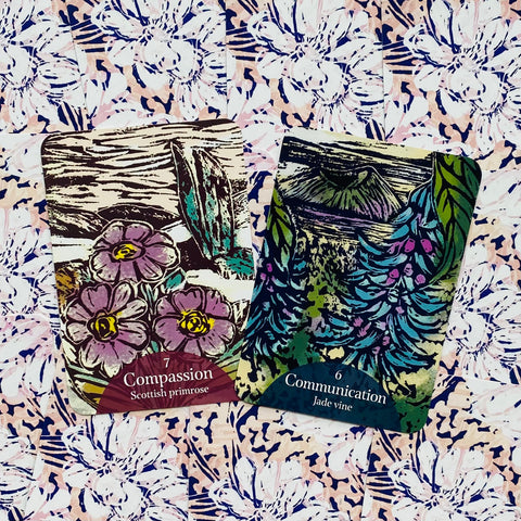 The Language of Flowers Oracle Cards Rockpool