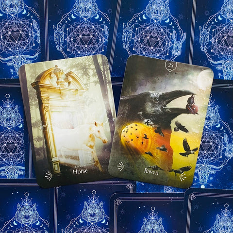Divine Animals Oracle cards Rockpool