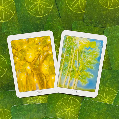 The Tree Angel Oracle Cards And Book Set Earth Dancer