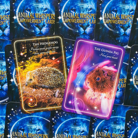 Animal Whispers Empowerment Cards Findhorn Press