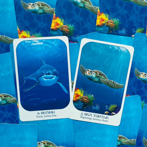 Animal Voices Oracle Cards Blue Angel