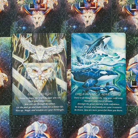 Spirit Of The Animals Oracle cards US Games Systems