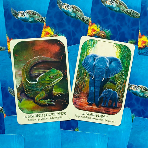 Animal Voices Oracle Cards Blue Angel